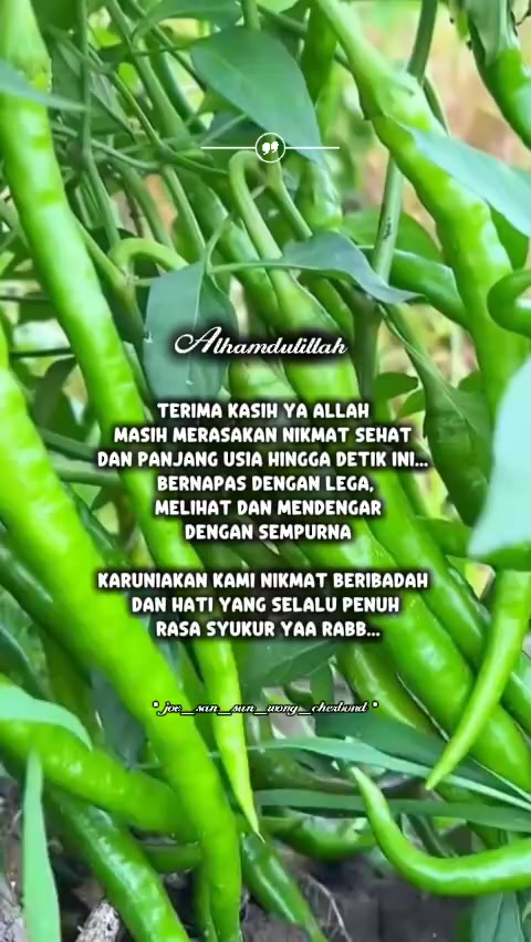 @Joe Sani Jay