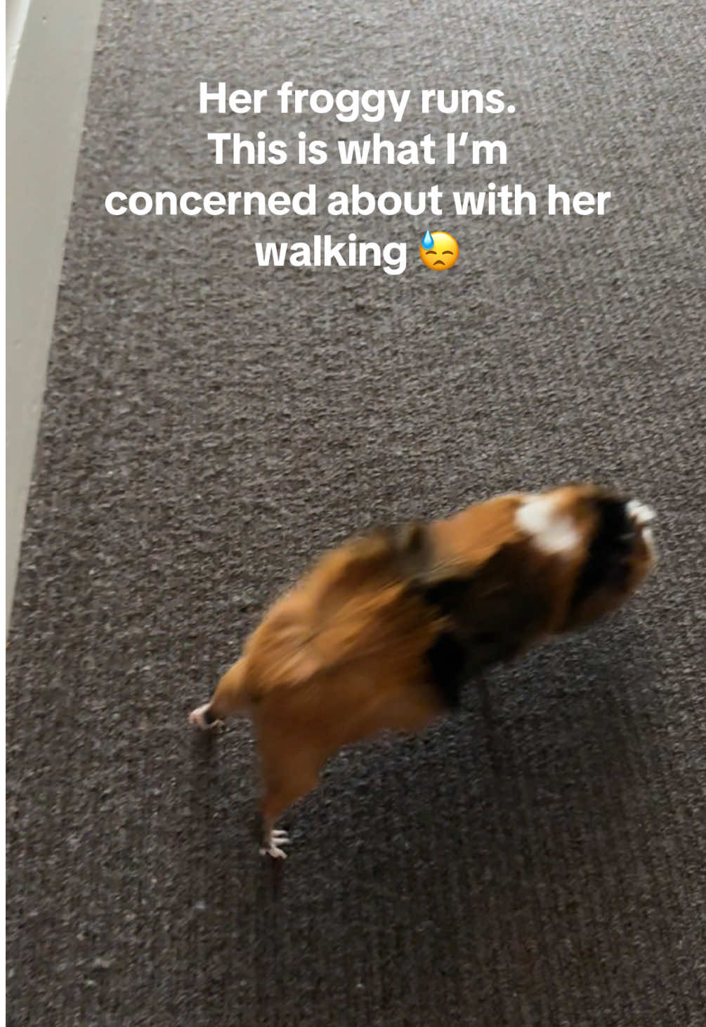 @MimisPiggies25