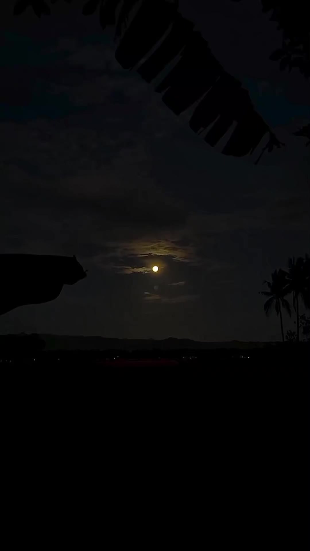 @𝑱𝑨𝑽𝑨ⁿᵉˢᵉ ☮︎