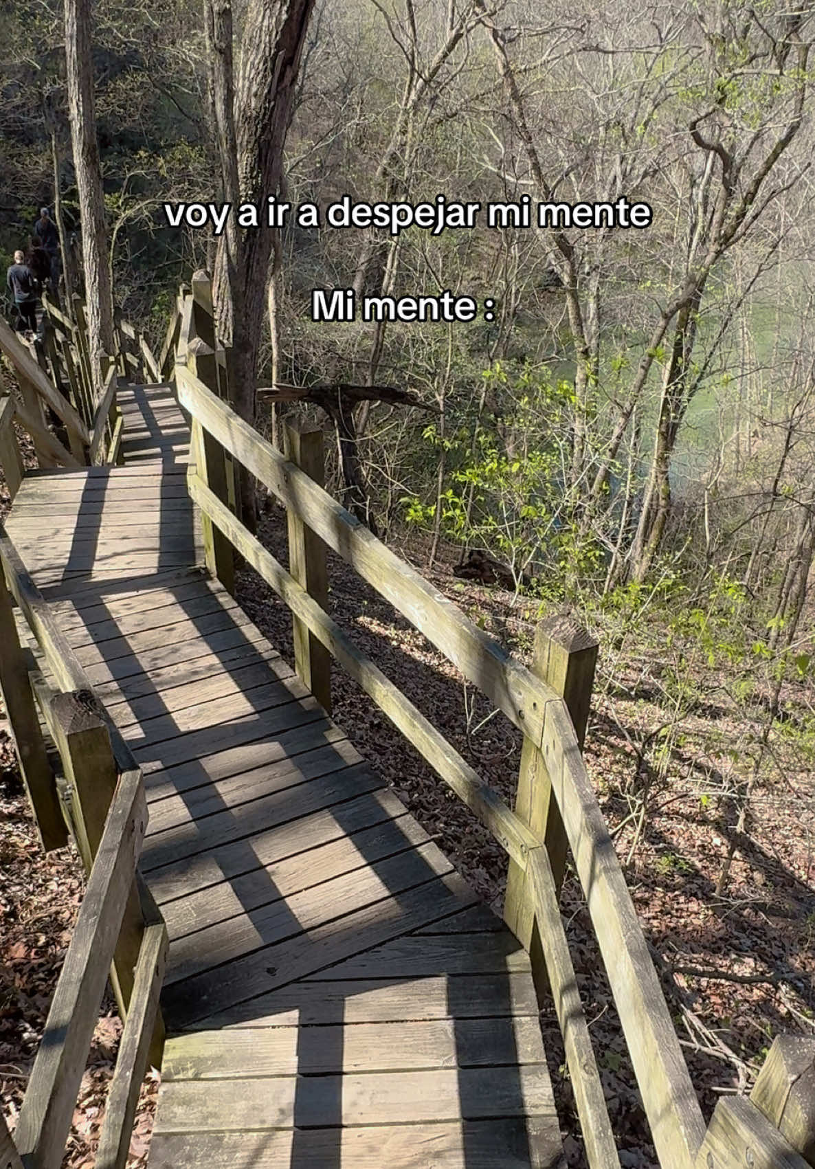 @Melissa Odeth