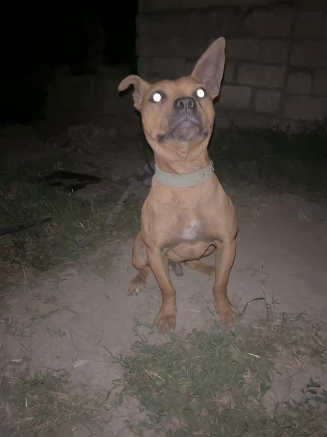 @Joker_pit8