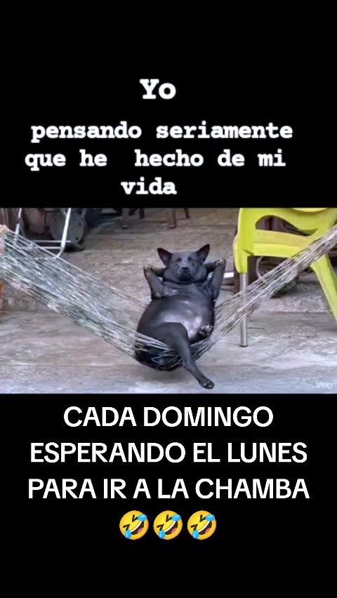 @LA VIDA ES UNA NOTA - SIGUEME