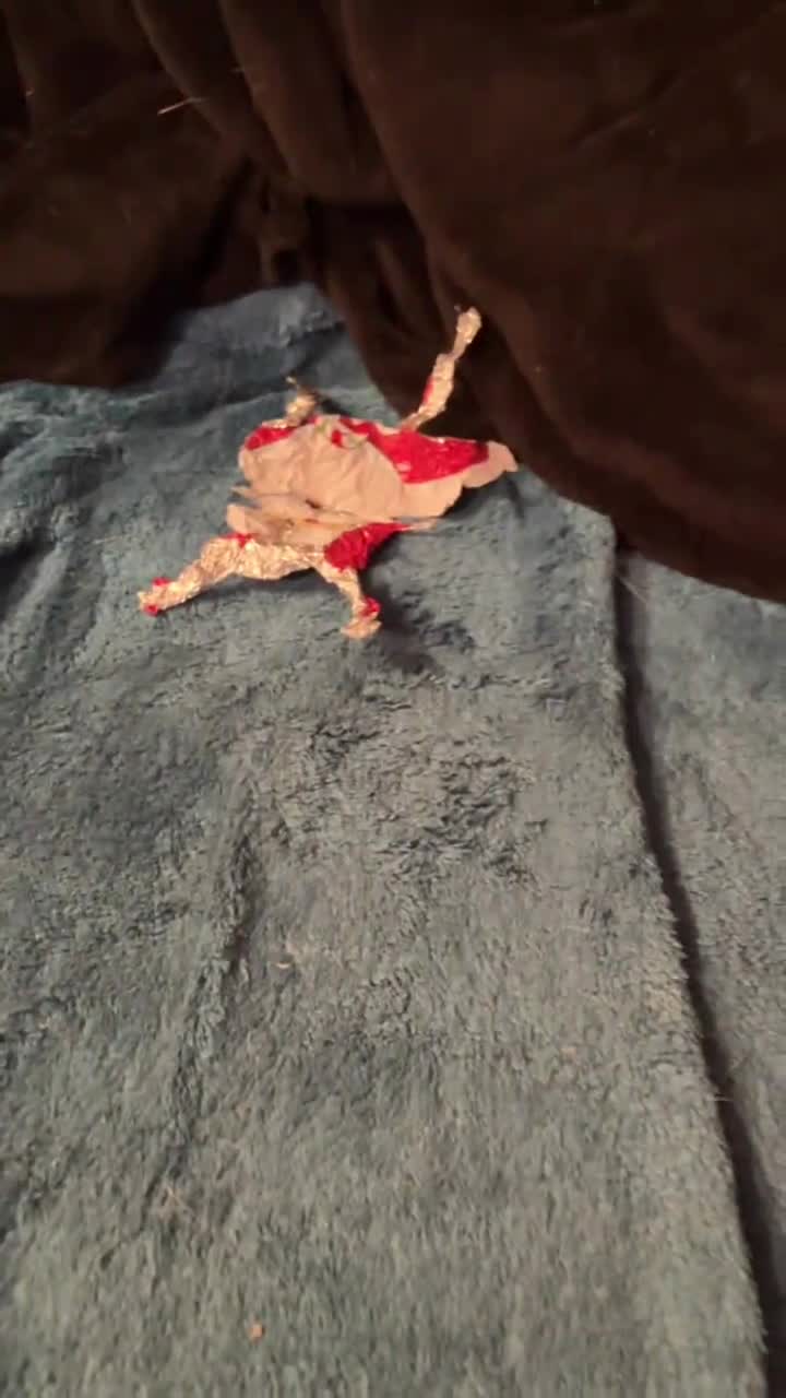 @z.z0mb.ii