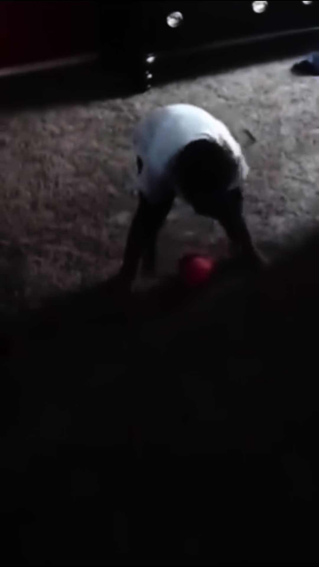 @214BladeBrown