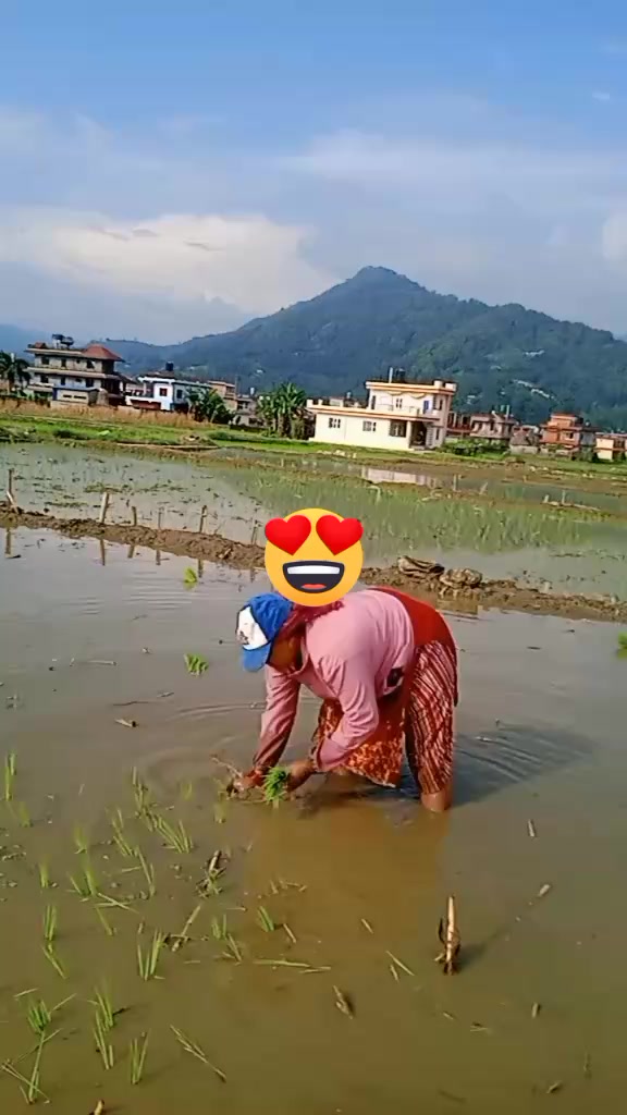 @fulmayabk144