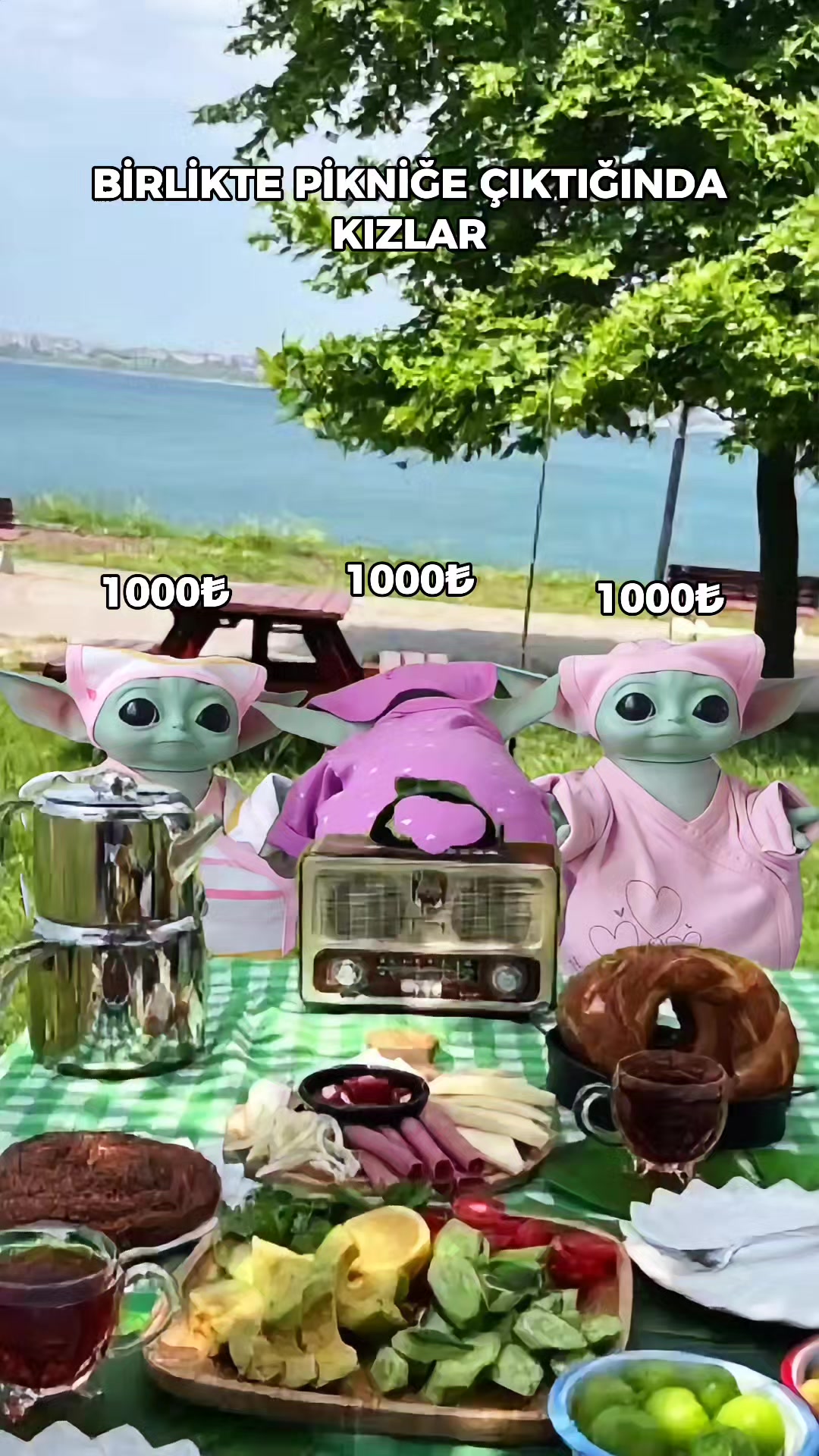 @Bebiş Yoda