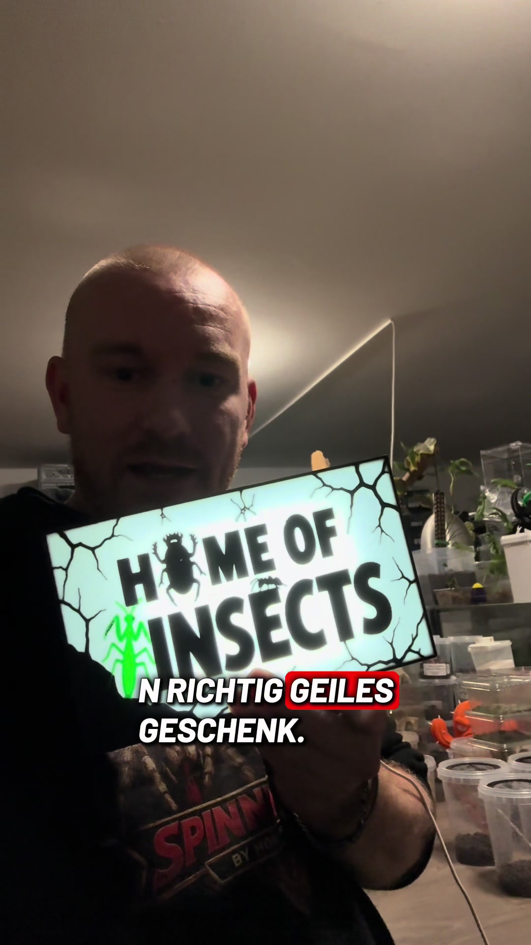 @Home-of-Insects