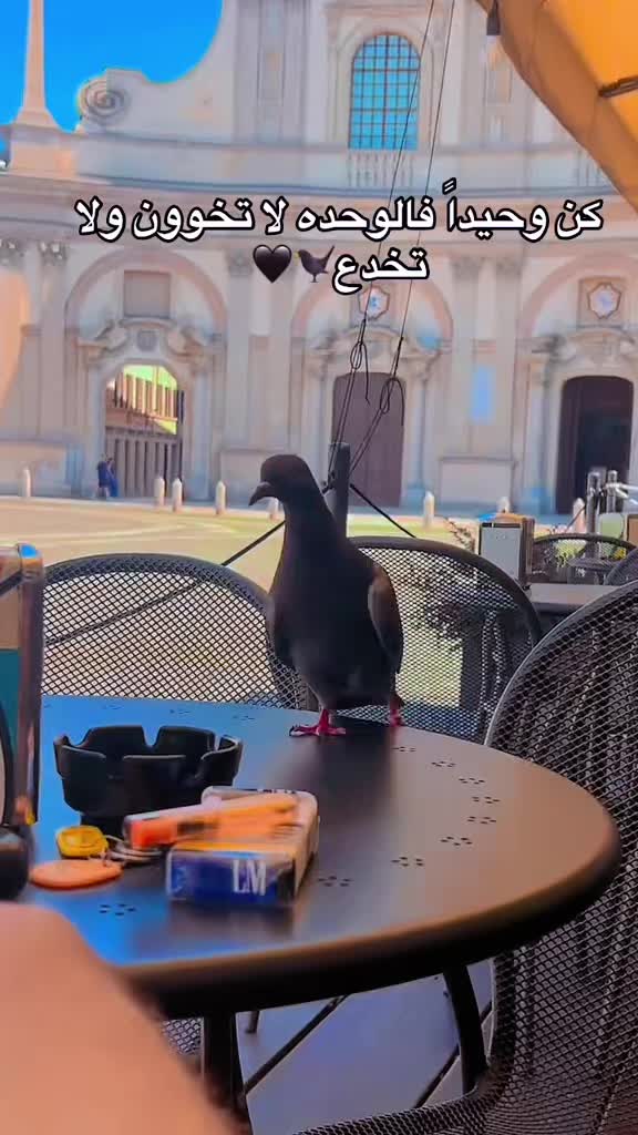 @حود7ا الأوربي ❤️🩹