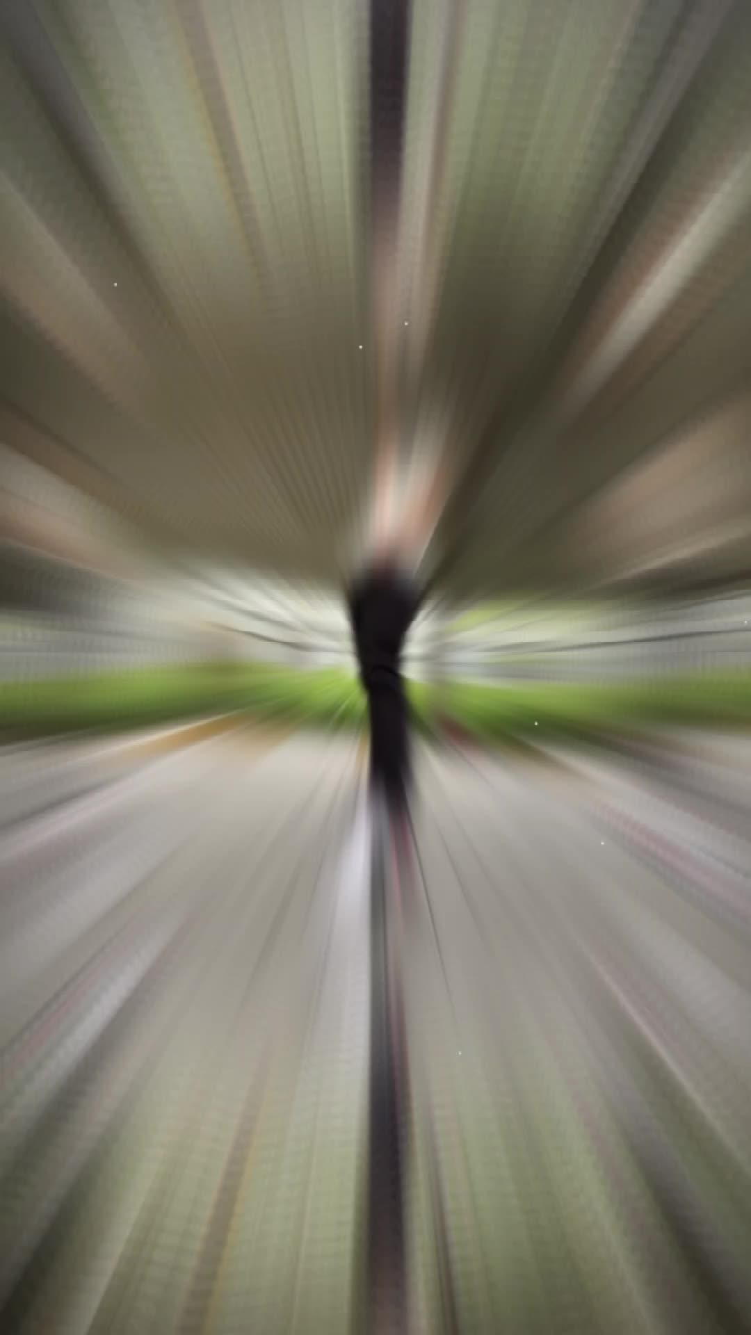 @chú rùa vàng