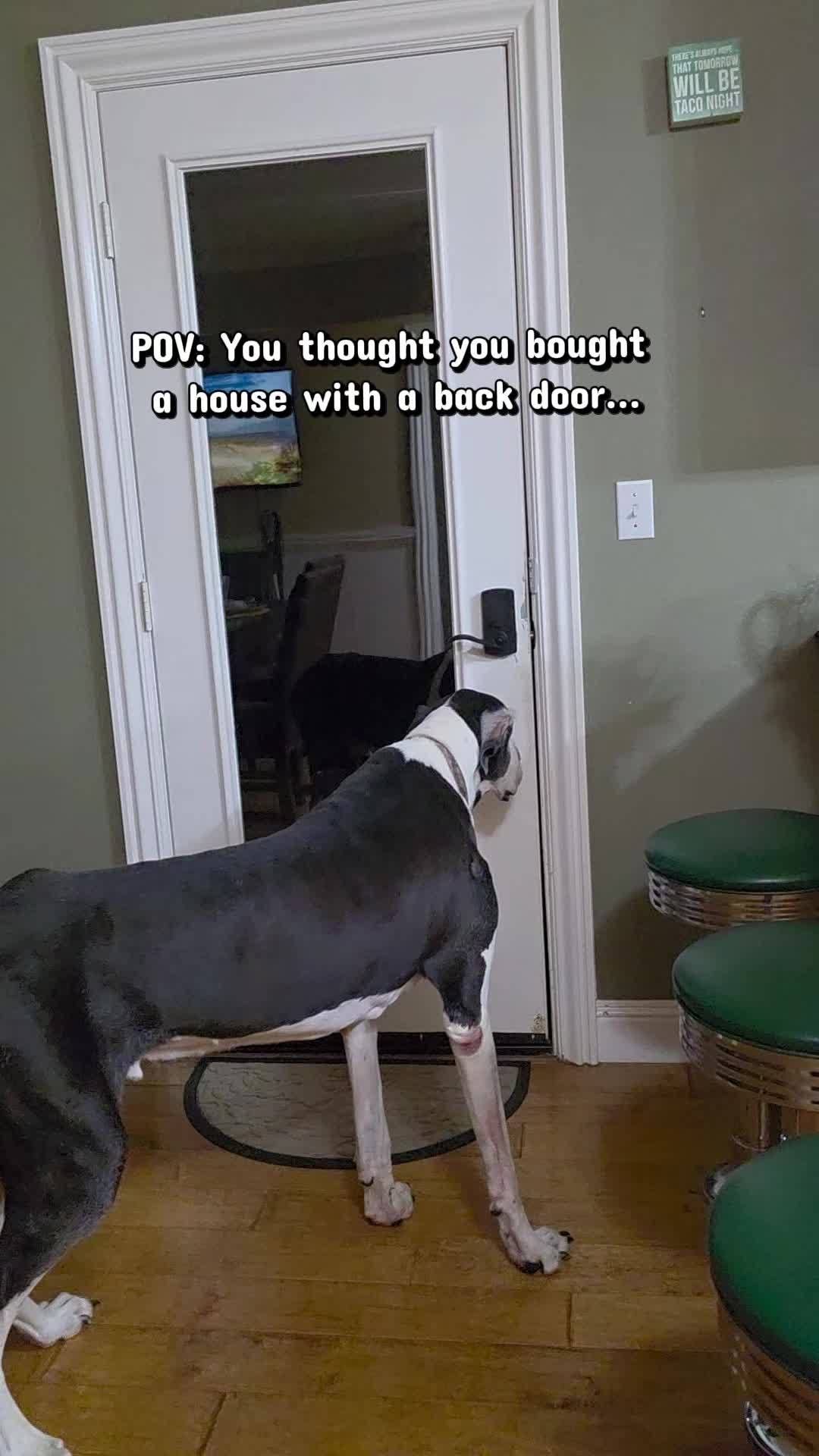@bpapalot
