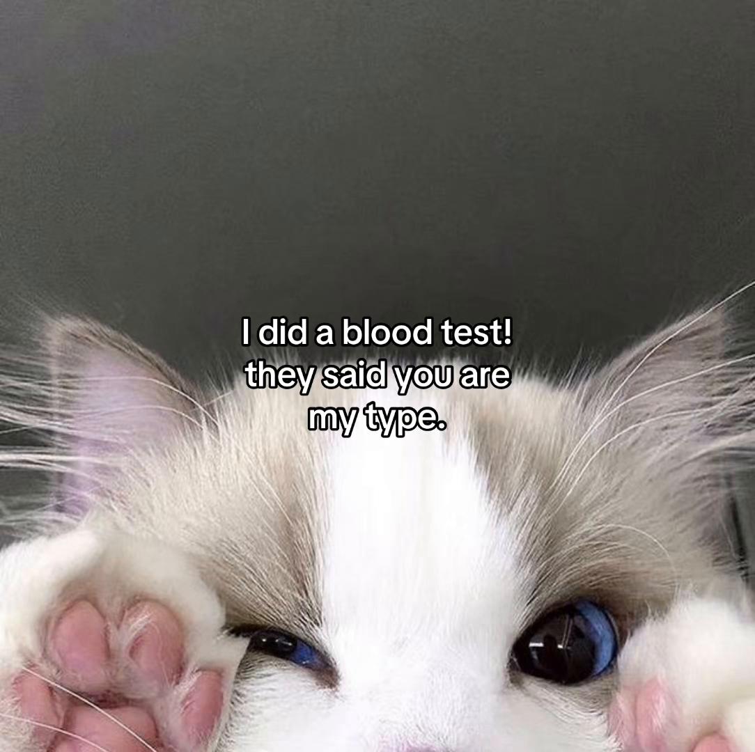 @Alice.cattok