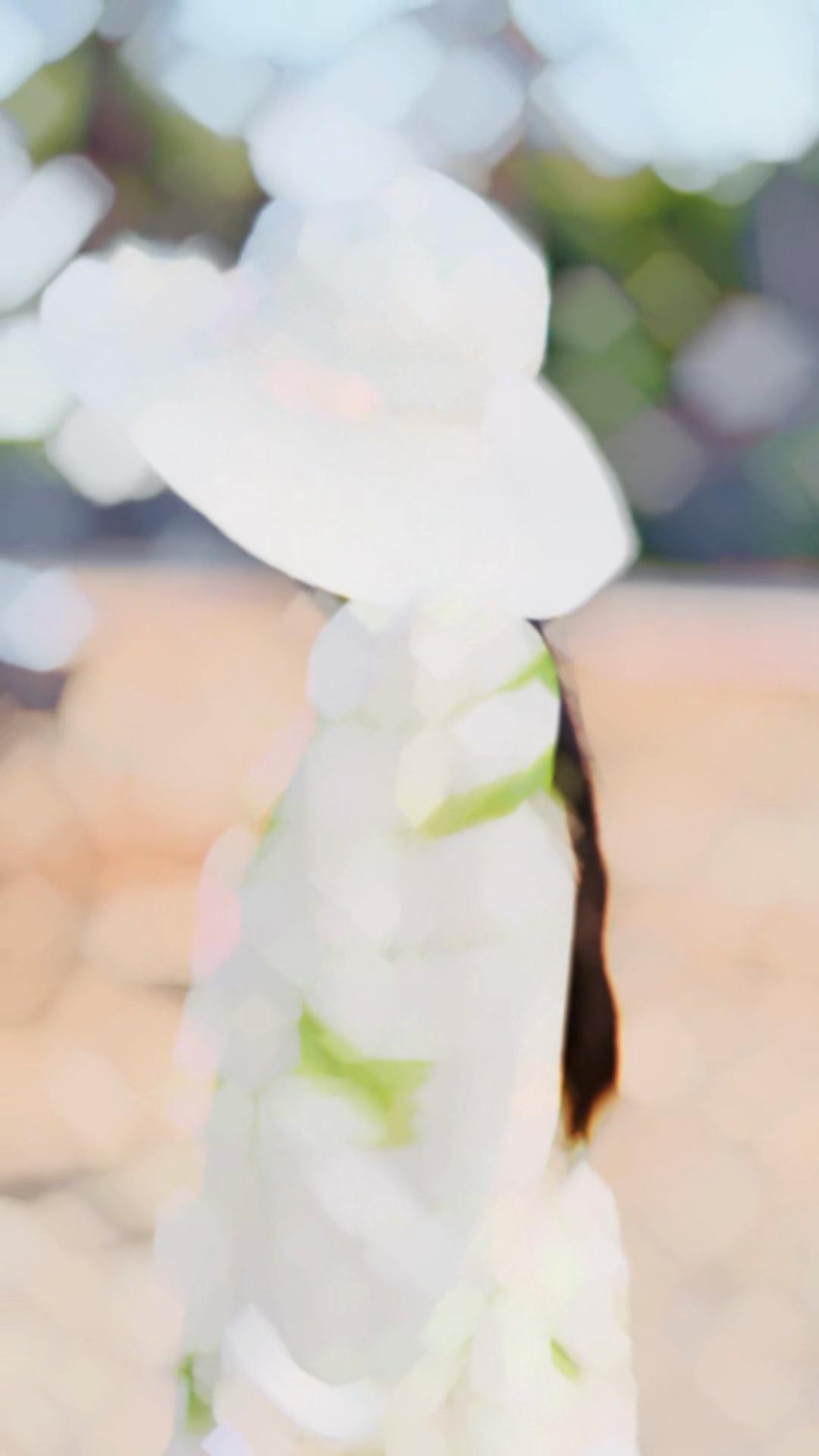 @A.Thilaxshy🎀🕊️