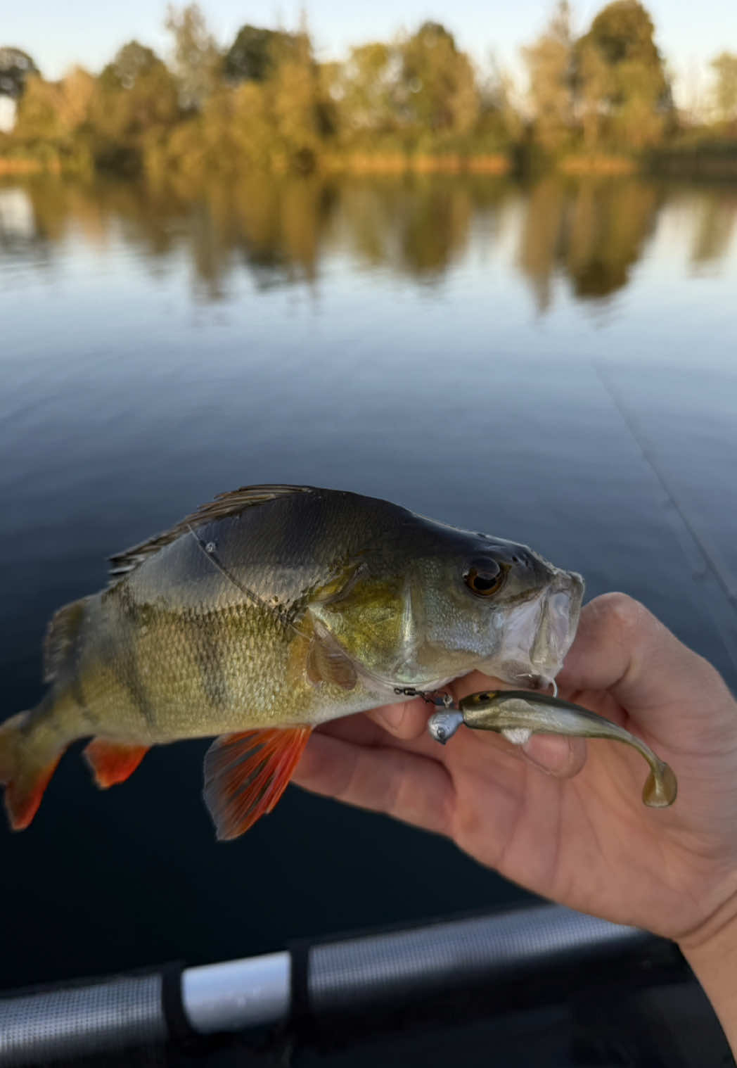 @Castandcatch