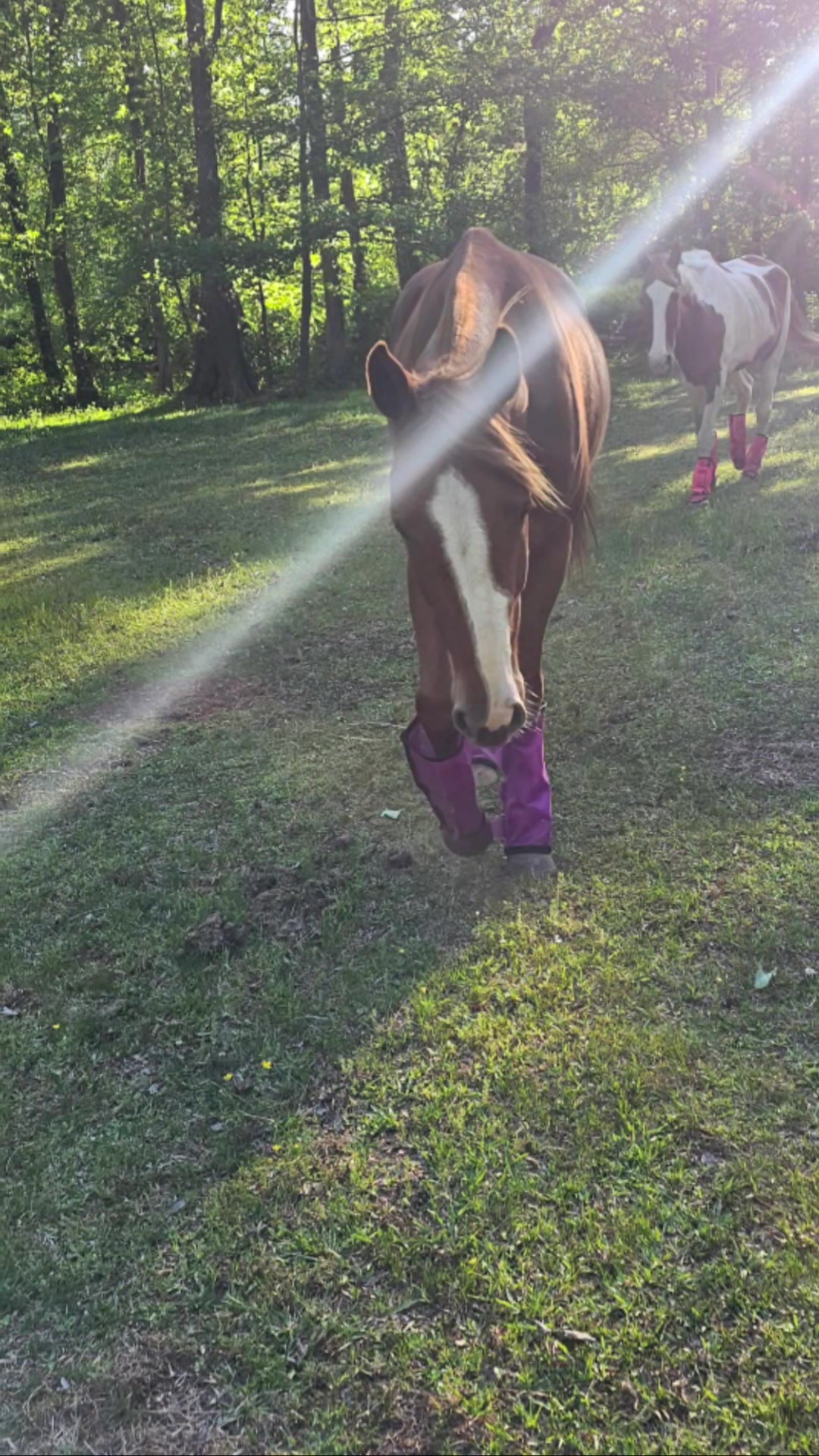 @southerncowgirl