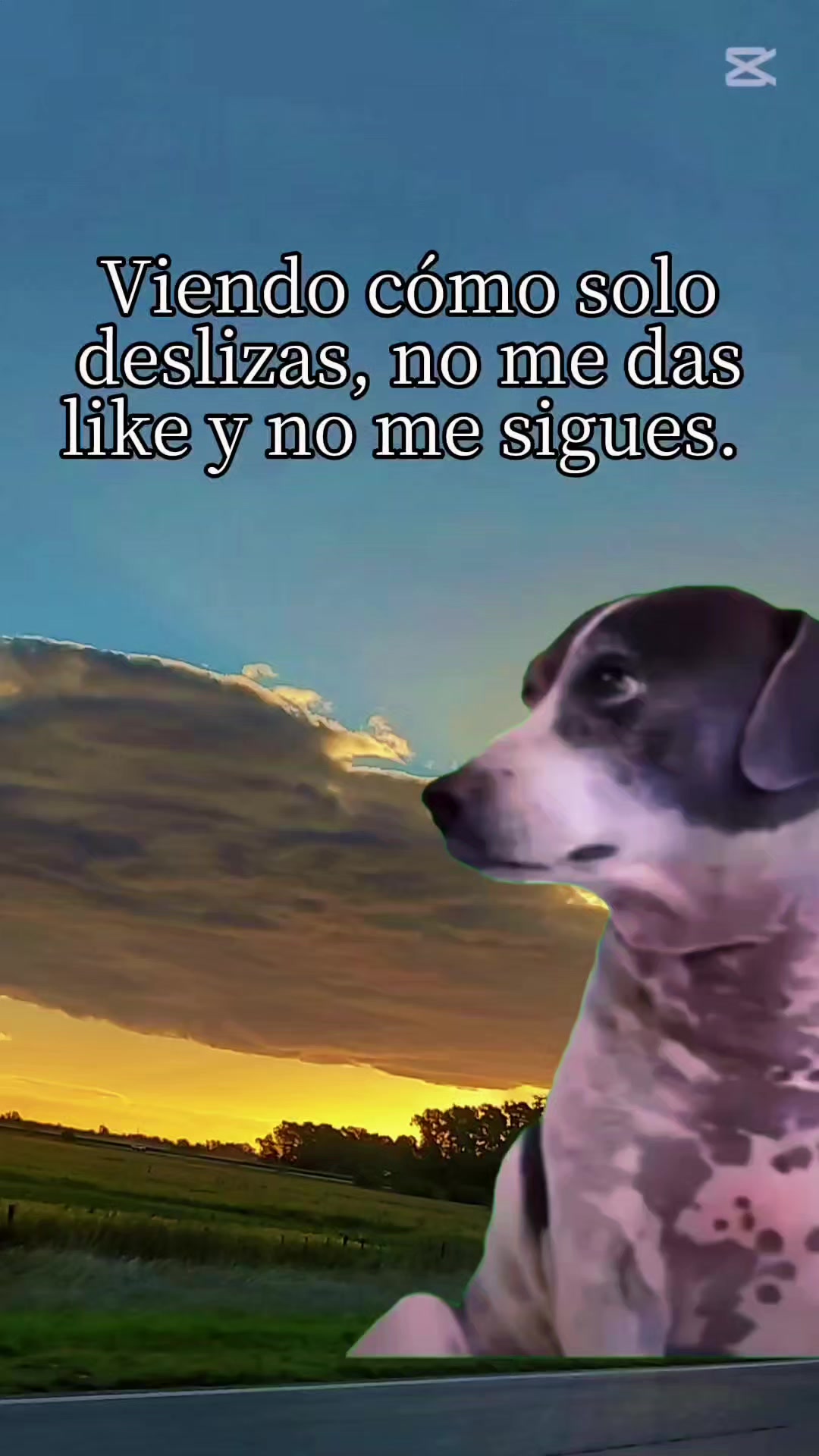 @cachonita