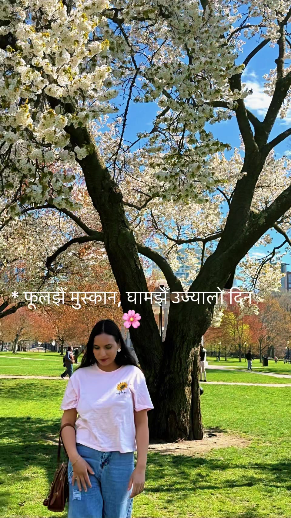 @Manisha