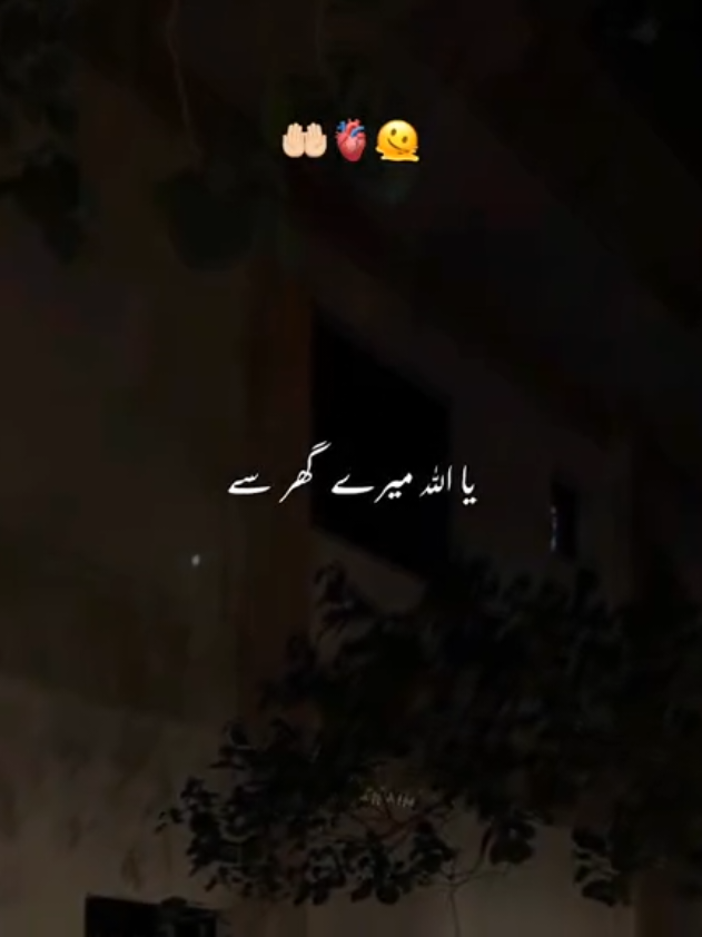@𝘼𝙠𝙖𝙨𝙝 🏴