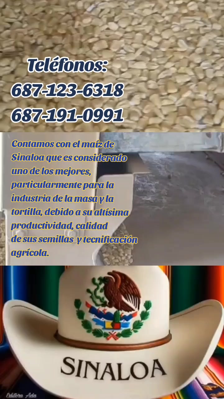 @Mario Diaz