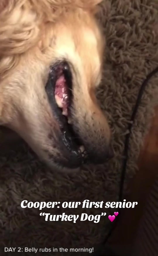 @lifewithduke2025