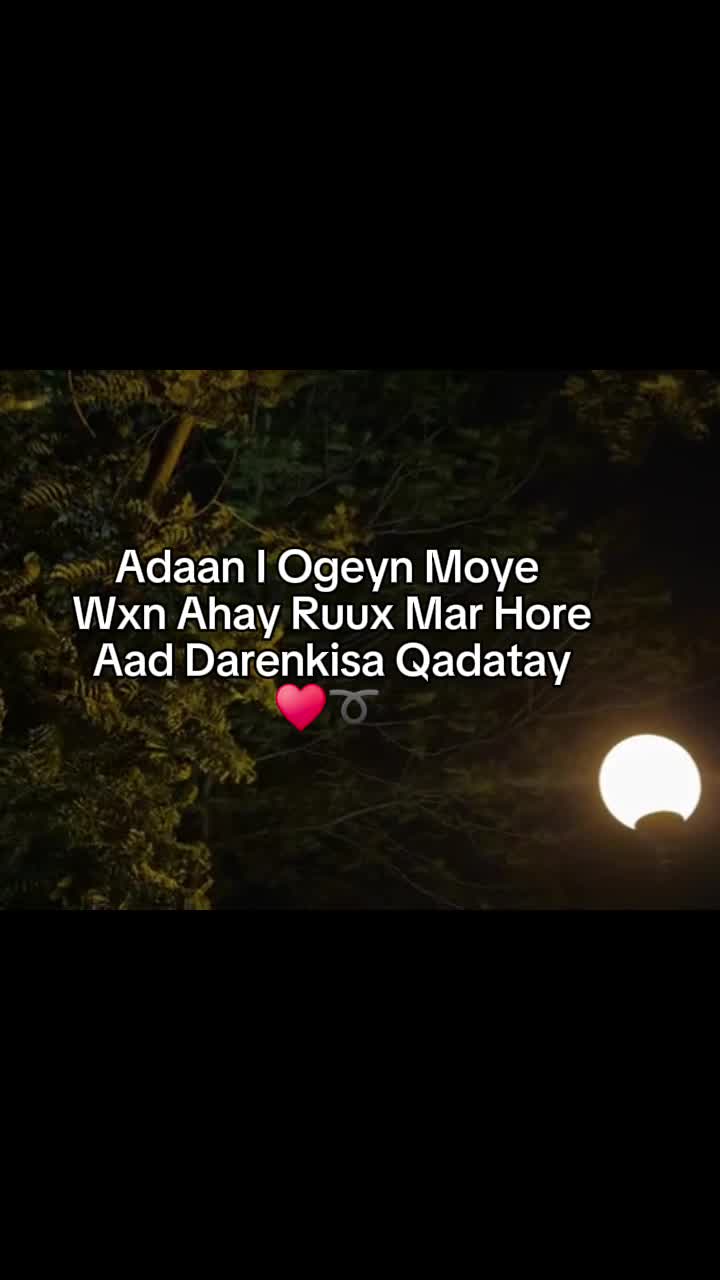 @MoHameTt🇩🇪