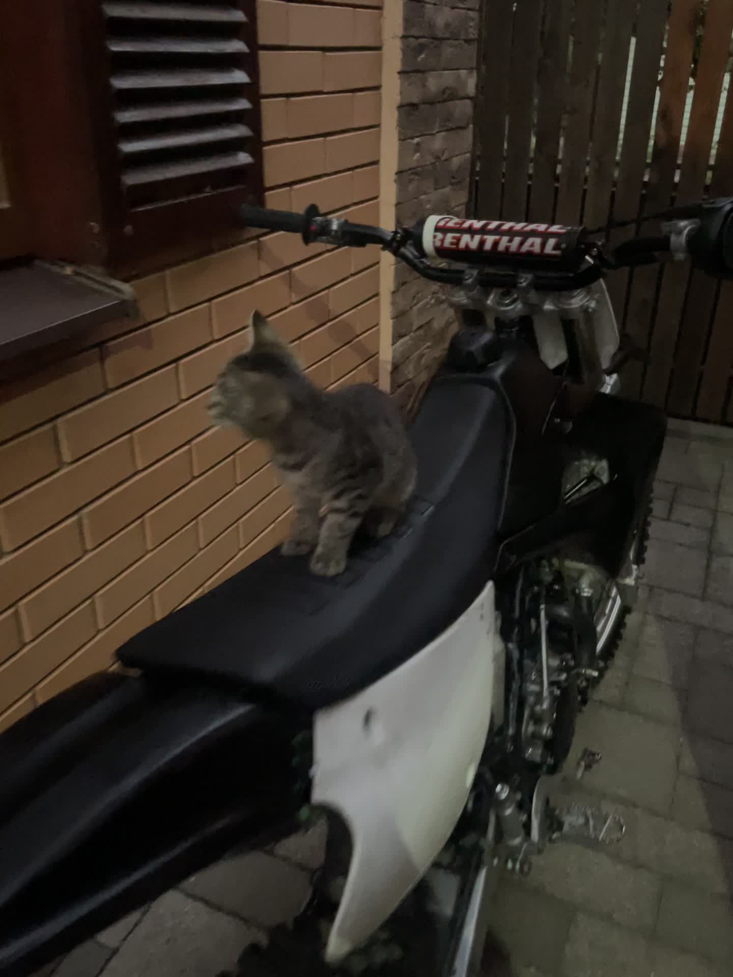 @Вова DIRTBIKE KIDZ
