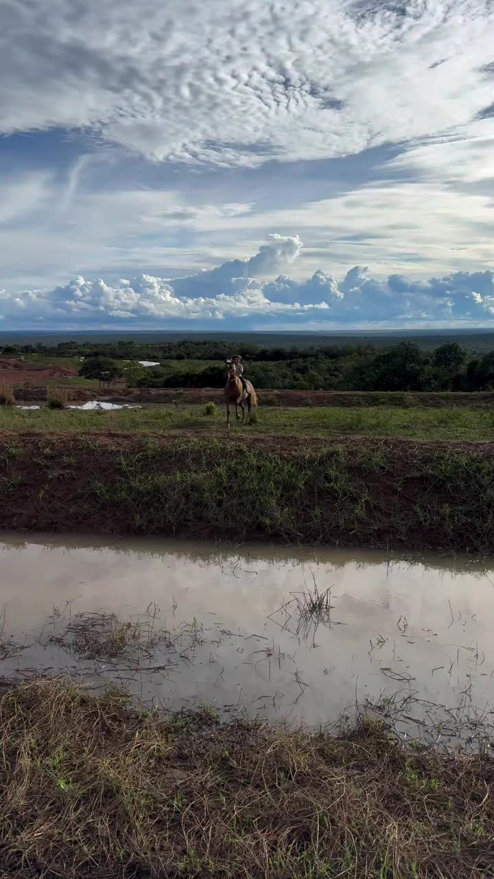 @ThunderGallops