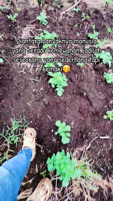 @nanda_setiawan_