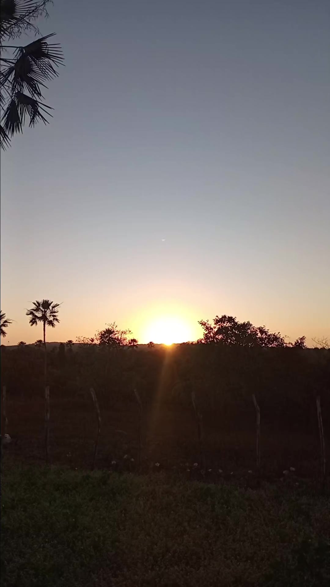 @PAISAGENSDODIAADIA
