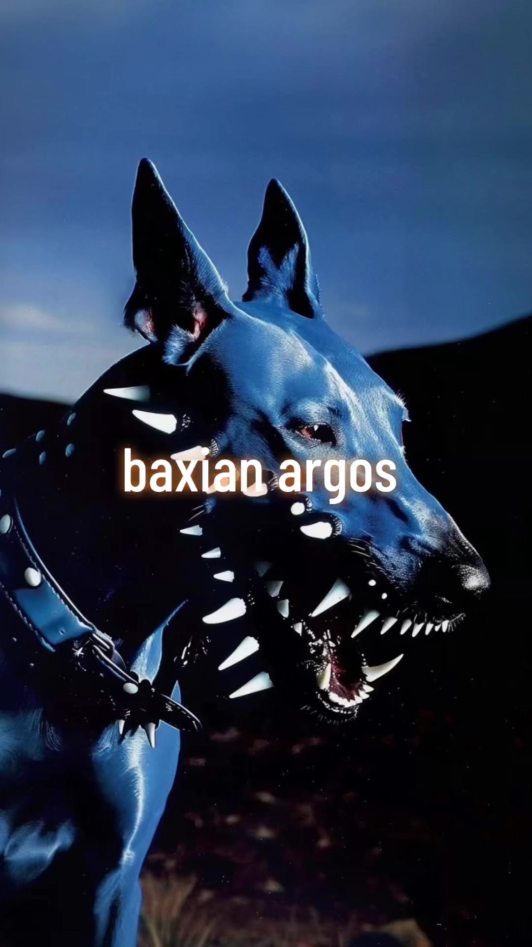 @A ✨