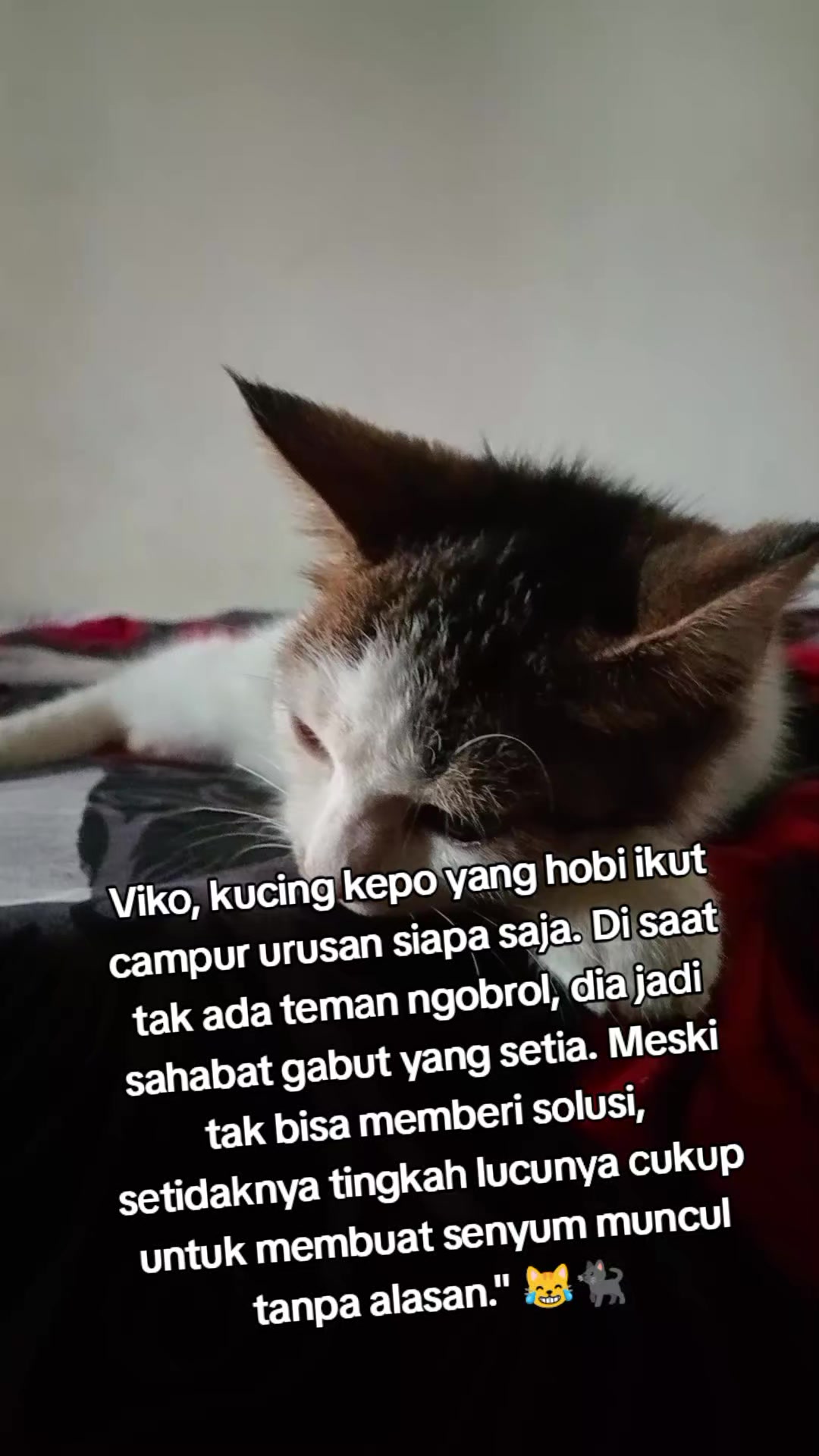 @Rizqi