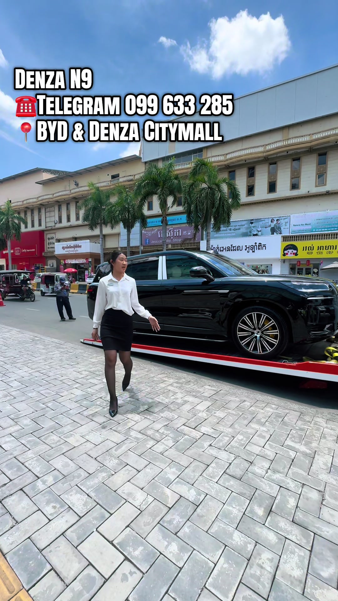 @Ling-BYD & Denza