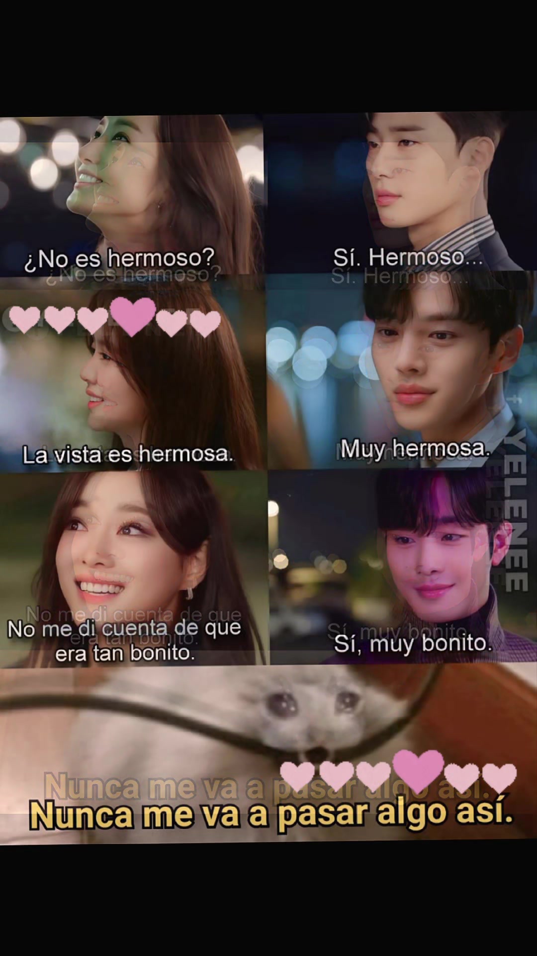 @Mala Elizondo