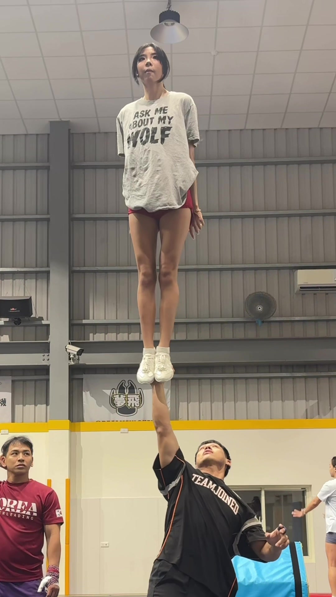 @linfancheer林凡