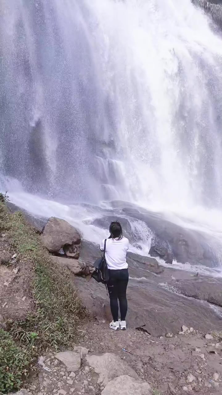 @mengikuti anda