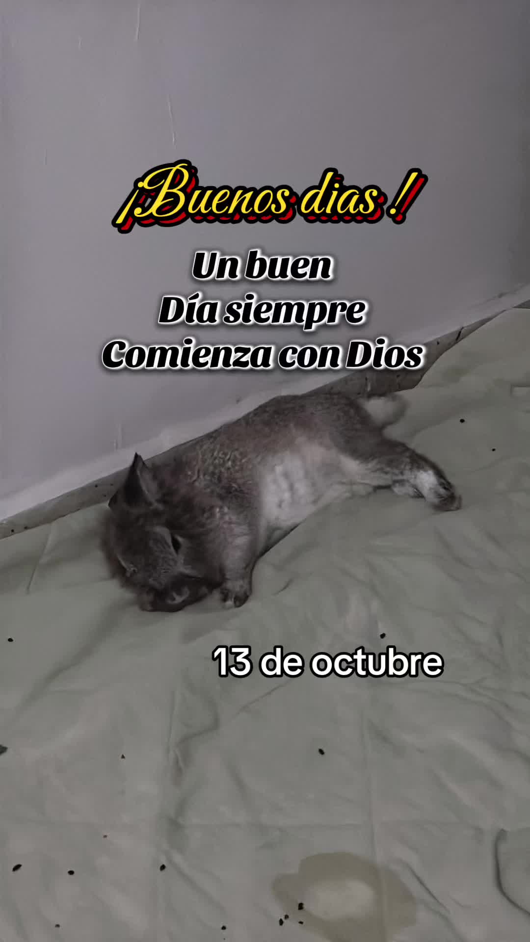 @8luisplaza8