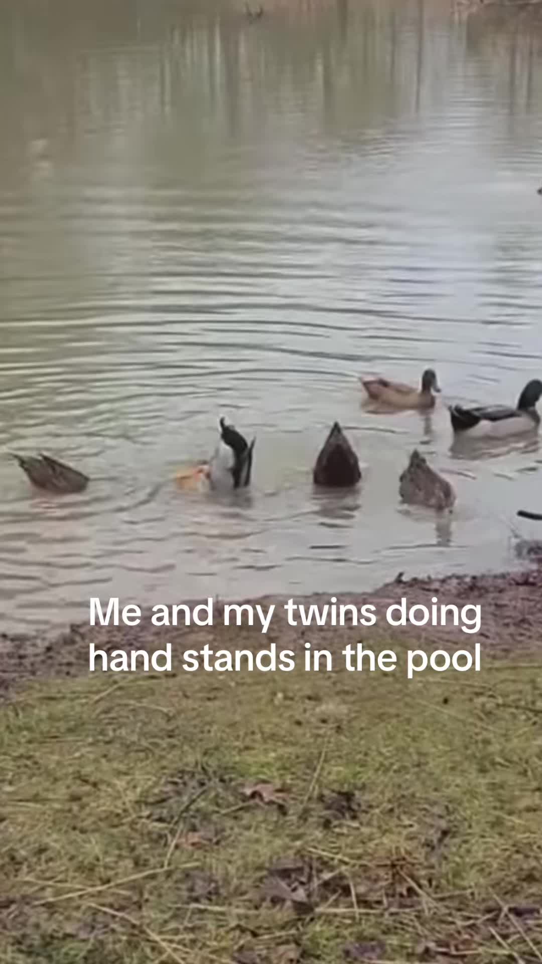 @🥷🏿