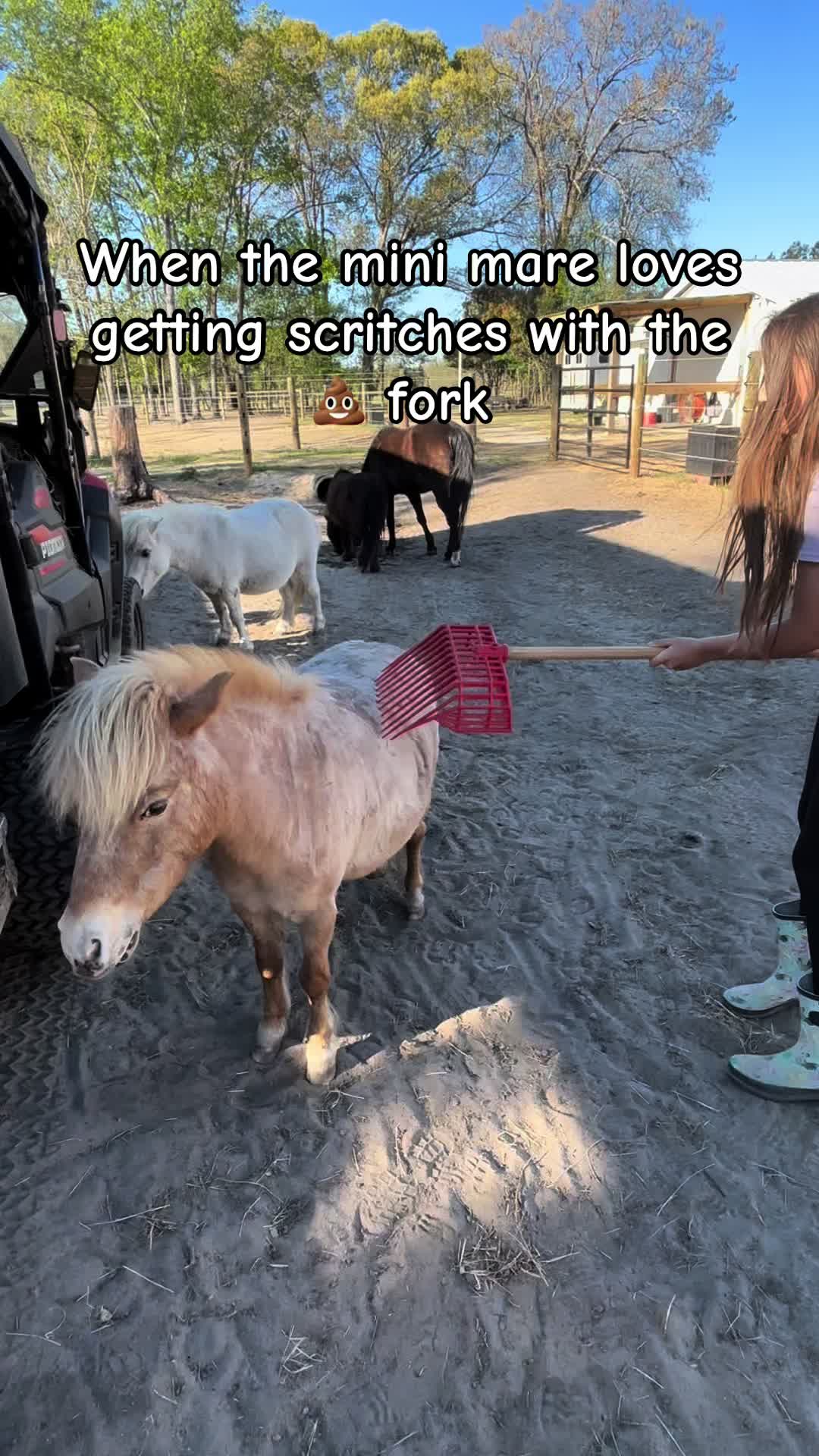 @itiswellstables
