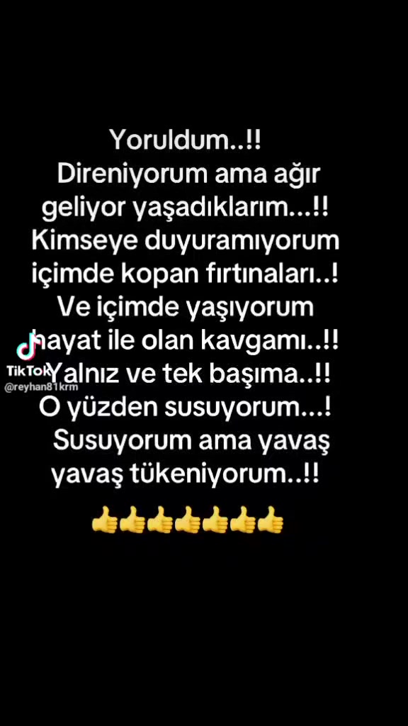 @Birgül Şen 03
