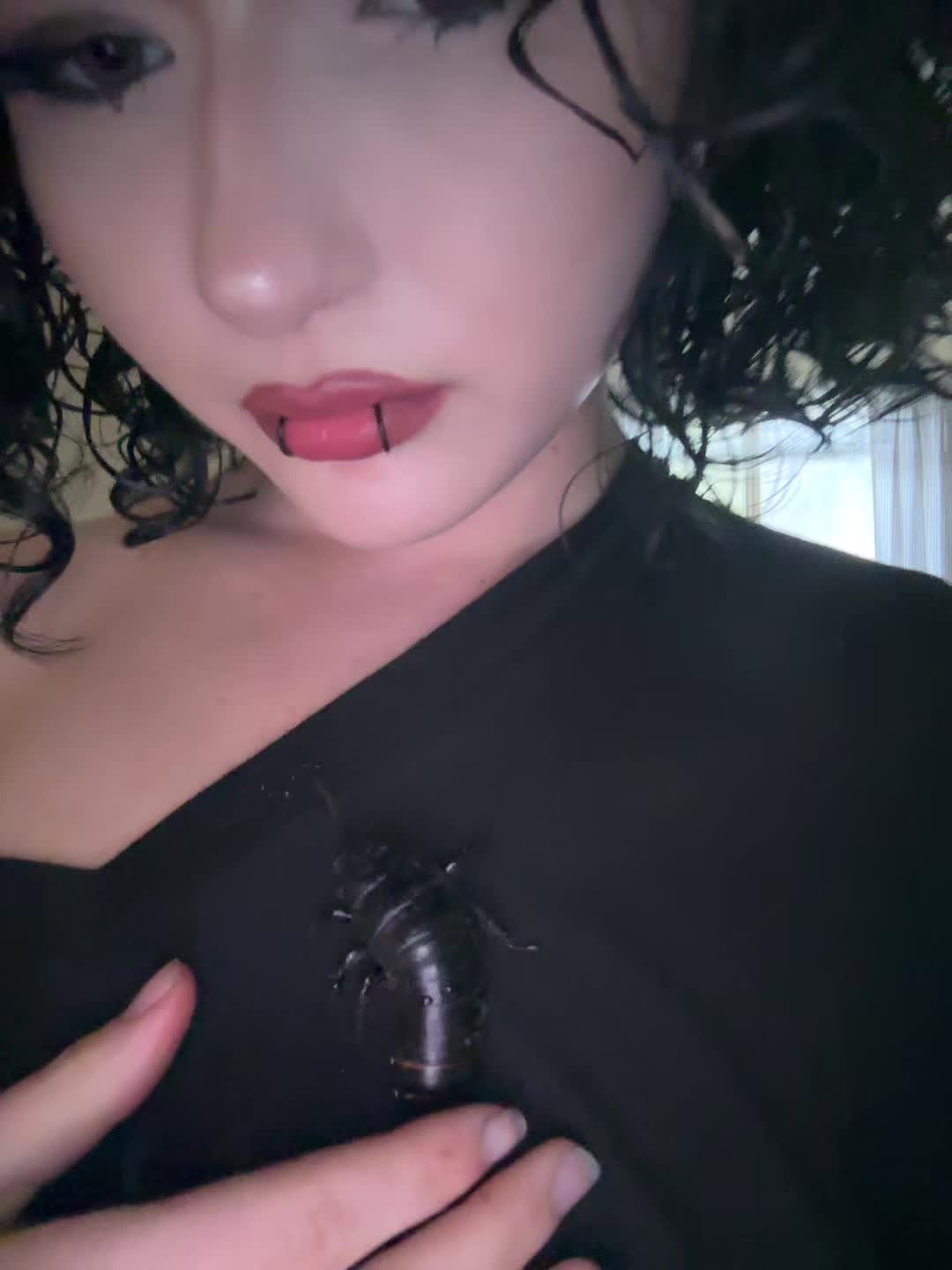 @fnoxf_