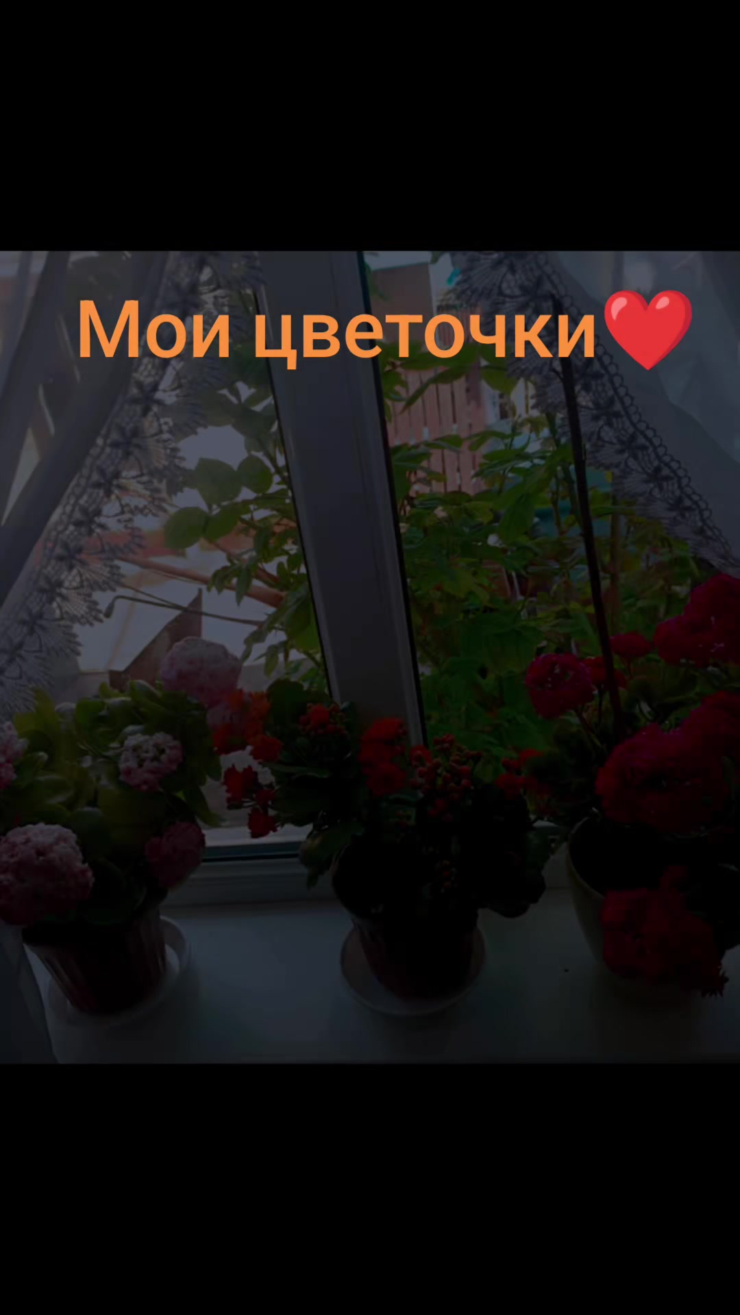 @Viktorovna