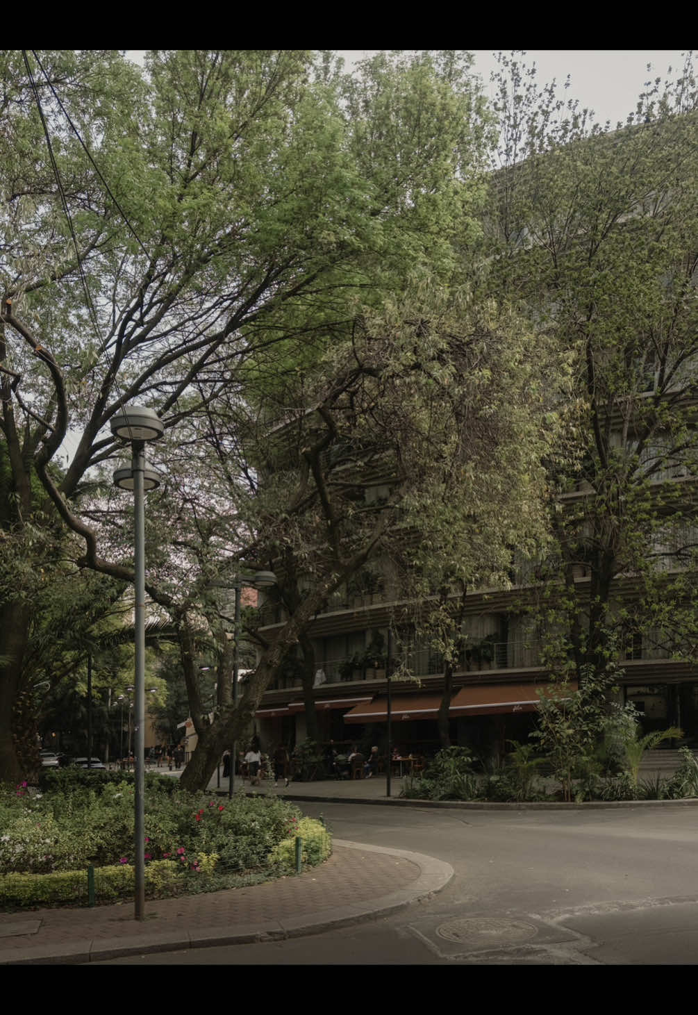 @Arquitect&oacute;nica