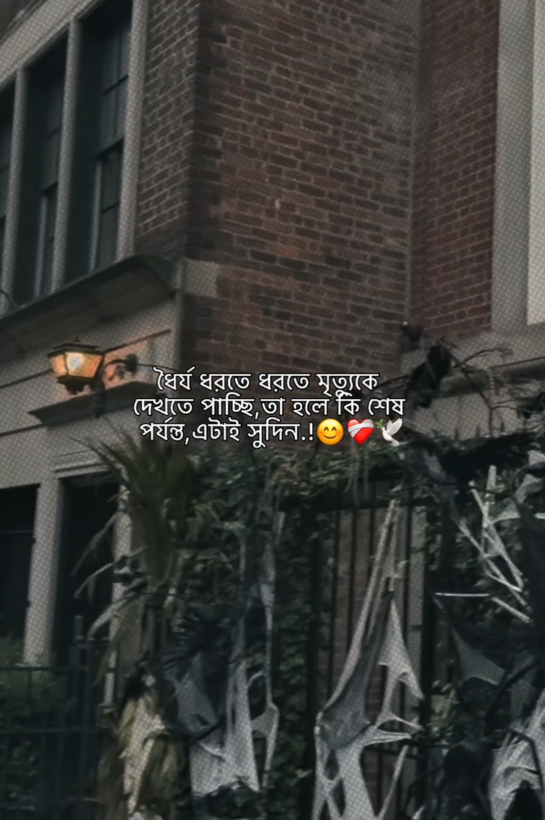 @𝗠𝗮𝘀𝗵𝗮𝗹𝗹𝗮𝗵 𝗔𝗽𝘂'♡︎🌷