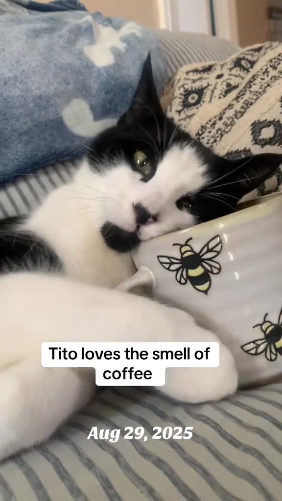 @Tori