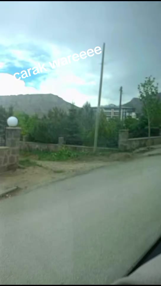 @dılemın