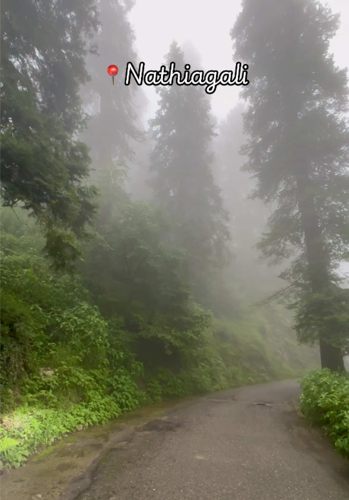 @𝓨𝓪𝓼𝓲𝓻 𝓐𝔀𝓪𝓷