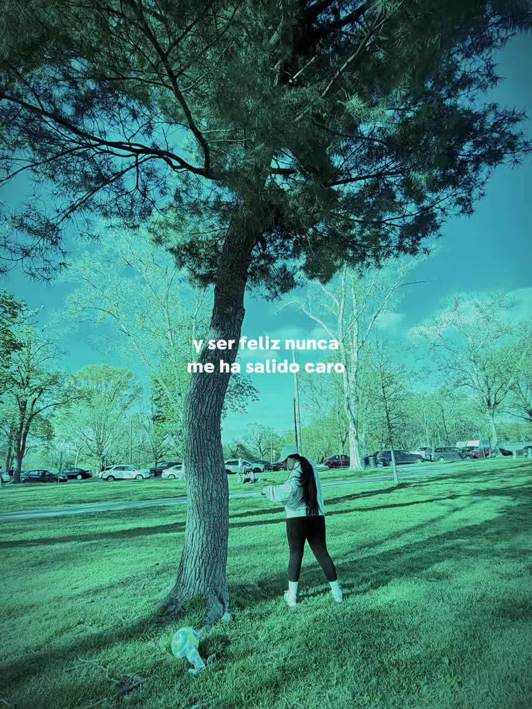@steffestrellita