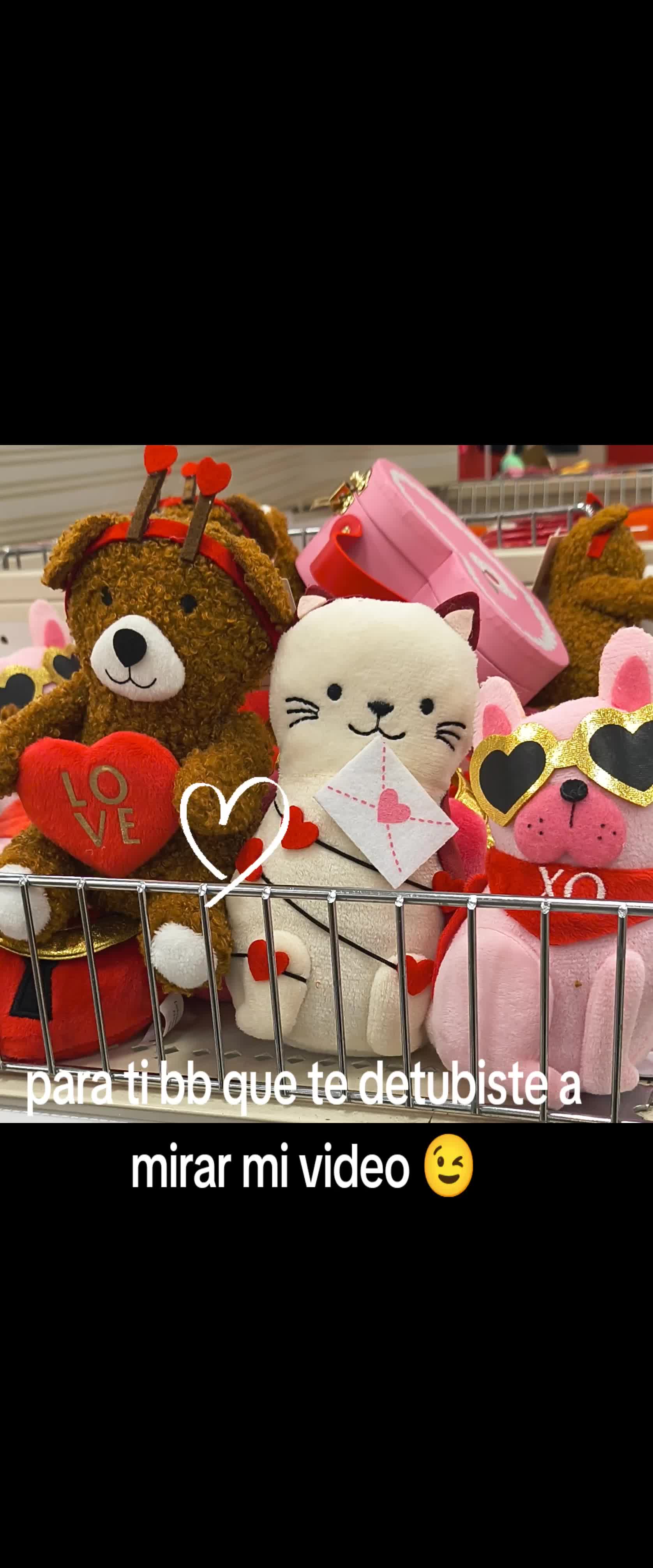 @gavilan007