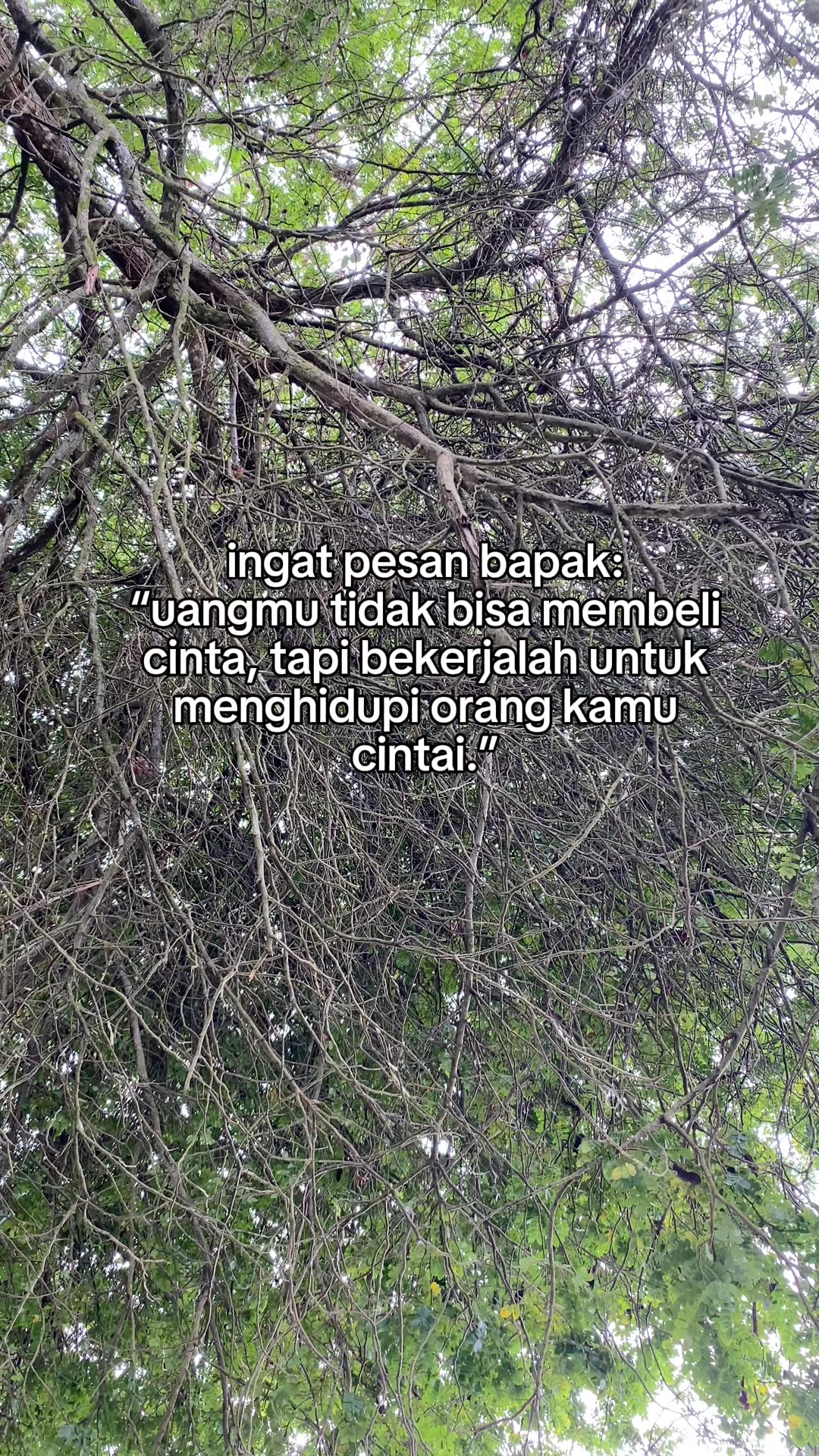 @IG: _itz.andika