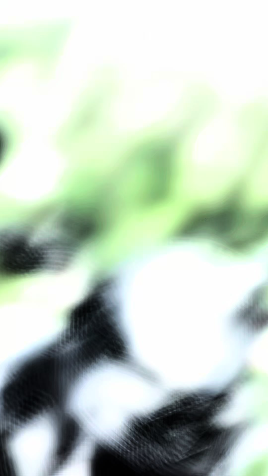 @๐ ๐ด ๐
๐ โฟ ๐โค๏ธ