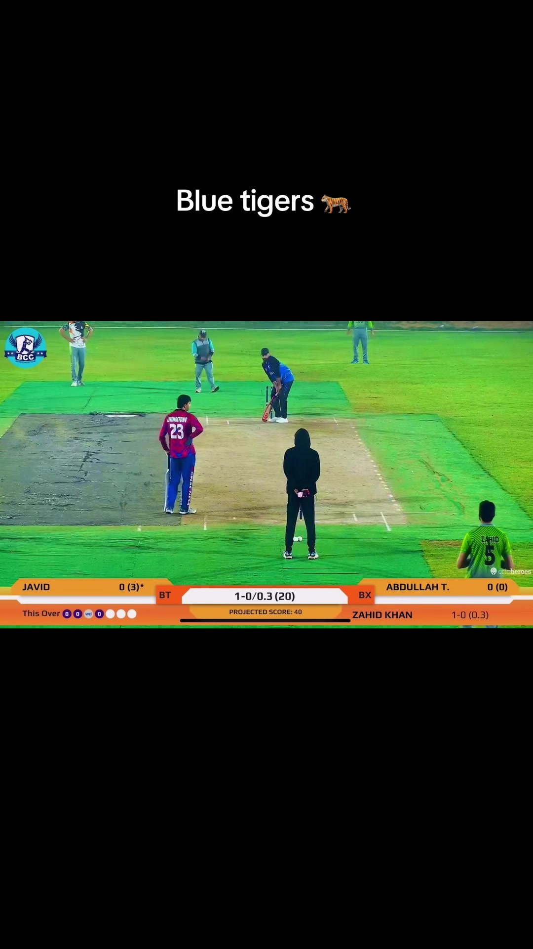 @BLuE TiGeRs💕🇦🇫